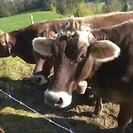 Apartman Trifts L Wallbox L Parkplatz L Auszeit Card Wangen im Allgäu