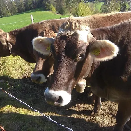 شقة Trifts | Einzelbetten | Parkplatz Wangen im Allgäu