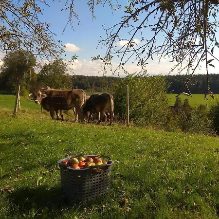 Appartamento Trifts L Wallbox L Parkplatz L Auszeit Card *